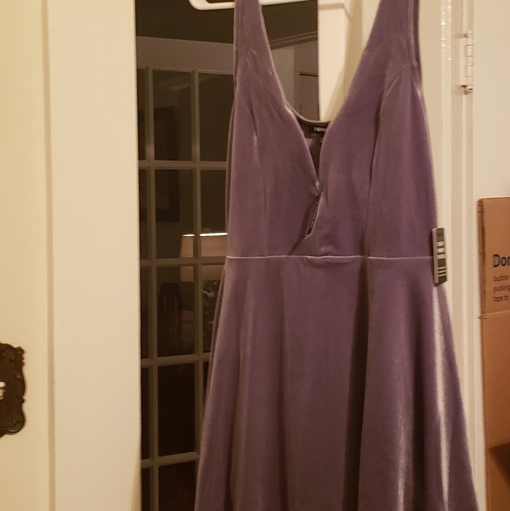 Express gray velvet dress